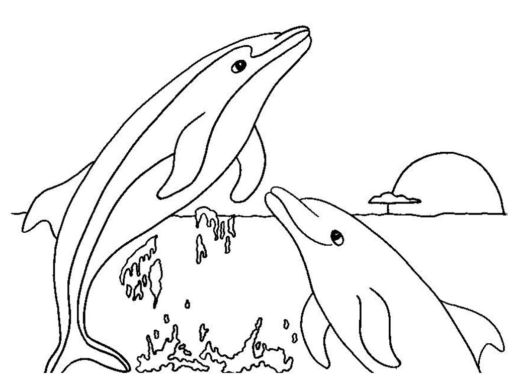 Dolphins Coloring Pages Realistic  Realistic Coloring Pages