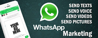 Whatsapp Marketing PRO SOFTWARE  Free Download