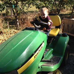 2012-10-06 Apple-picking 017