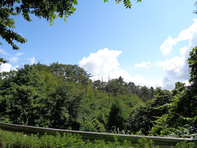 鎌倉山グリーンラインからの風景