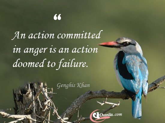 40+ Best Anger Quotes on Beautiful Images to Explore