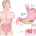 NAH ADA TIPS NIIIHHHH 10 CARA MENJAGA KESEHATAN LAMBUNG DAN USUS PALING EFEKTIF