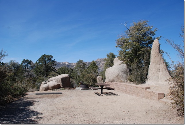 03-20-10 D Yavapai NF Campground near Prescott 003