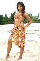 Sanjana sizzling in beach 