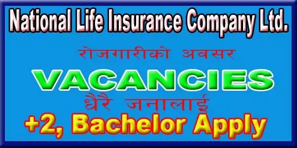 Insurance Job |NLIC Job Apply Now| More than 100 vacancies