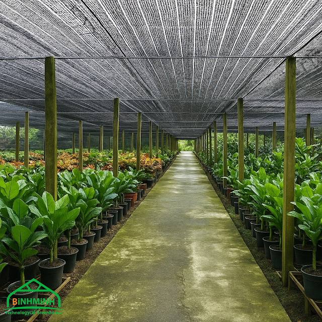 Lưới che nắng Made in Thái Lan 2m x 100m che phủ 60% Lưới che nắng Made in Thái Lan 2m x 100m che phủ 60%
