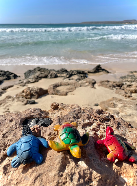 Turtles from the Rabil Pottery workshop on Santa Monica Beach; Boavista, Cape Verde