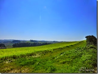 P1080497