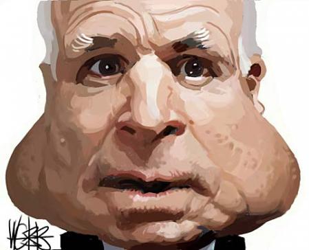 john mccain arms. dislike John McCain;