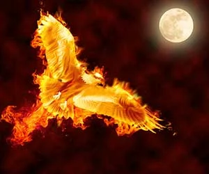 Firebird in Photoshop