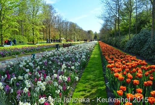 1 .Glória Ishizaka - Keukenhof 2015 - 74