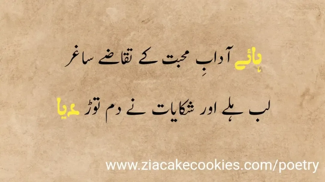 urdu shayari on life