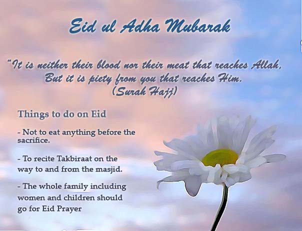 ISLAM & FINANCE FROM MY PERSPECTIVE: HAPPY EID AL-ADHA TO 