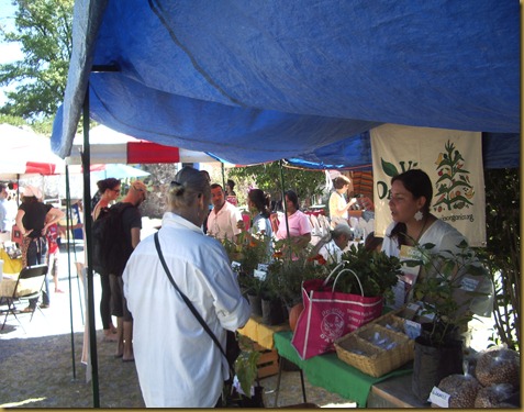 Organic Market 016