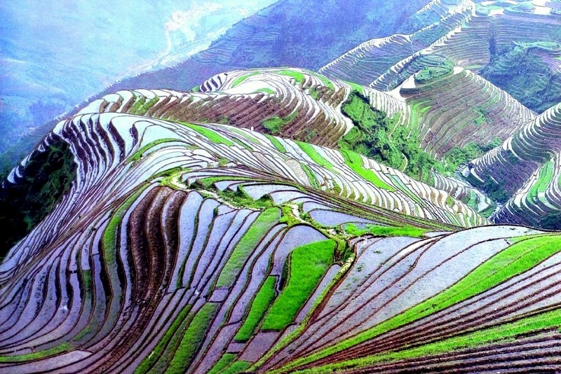 Rice Terraces of the Philippine Cordilleras