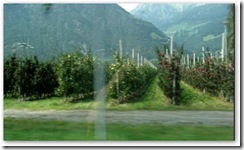 clip_image010[4]