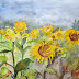 Sonnenblumen I