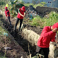 Tim Merah, Bergerak untuk Kabupaten Serdang Bedagai yang Bersih