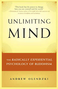 Unlimiting Mind: The Radically Experiential Psychology of Buddhism (English Edition)