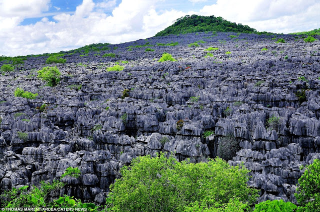 Madagascar's limestone towers 