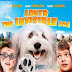 Abner the Invisible Dog (2013) DVDRip 375MB Free Download