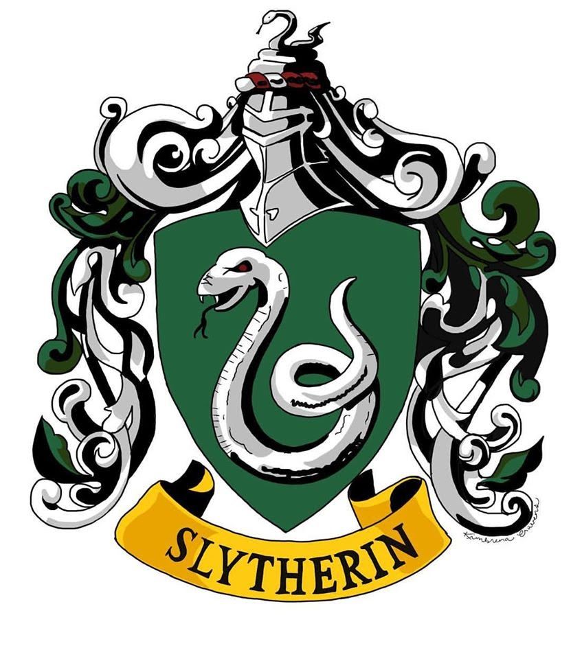 Why is Slytherin House Bad?
