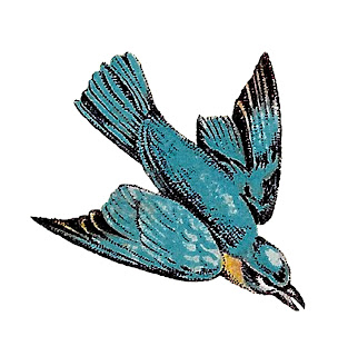 bird flying image transfer illustration clipart digital download 