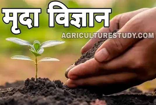 मृदा विज्ञान क्या है, soil science in hindi, मृदा विज्ञान की प्रमुख कितनी शाखाएं है, मृदा विज्ञान के जनक कोन है,  पेडोलॉजी और इडैफोलॉजी का अध्ययन करो।