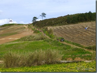 P1000893