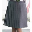 Pleated Skirts