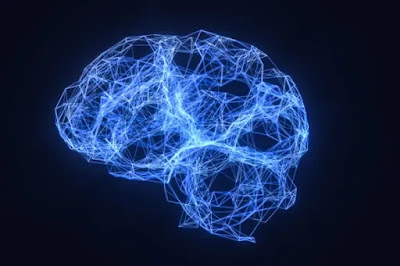 Different brain waves