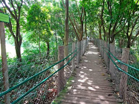 Parque Villa-Lobos - Trilha Circuito das Árvores