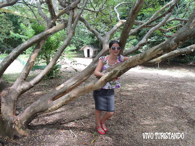 Manaus | Fomos conhecer o Sauim-de-Manaus no Parque do Mindu