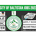 Advertisement for Jobs 2022 at University of Baltistan Skardu