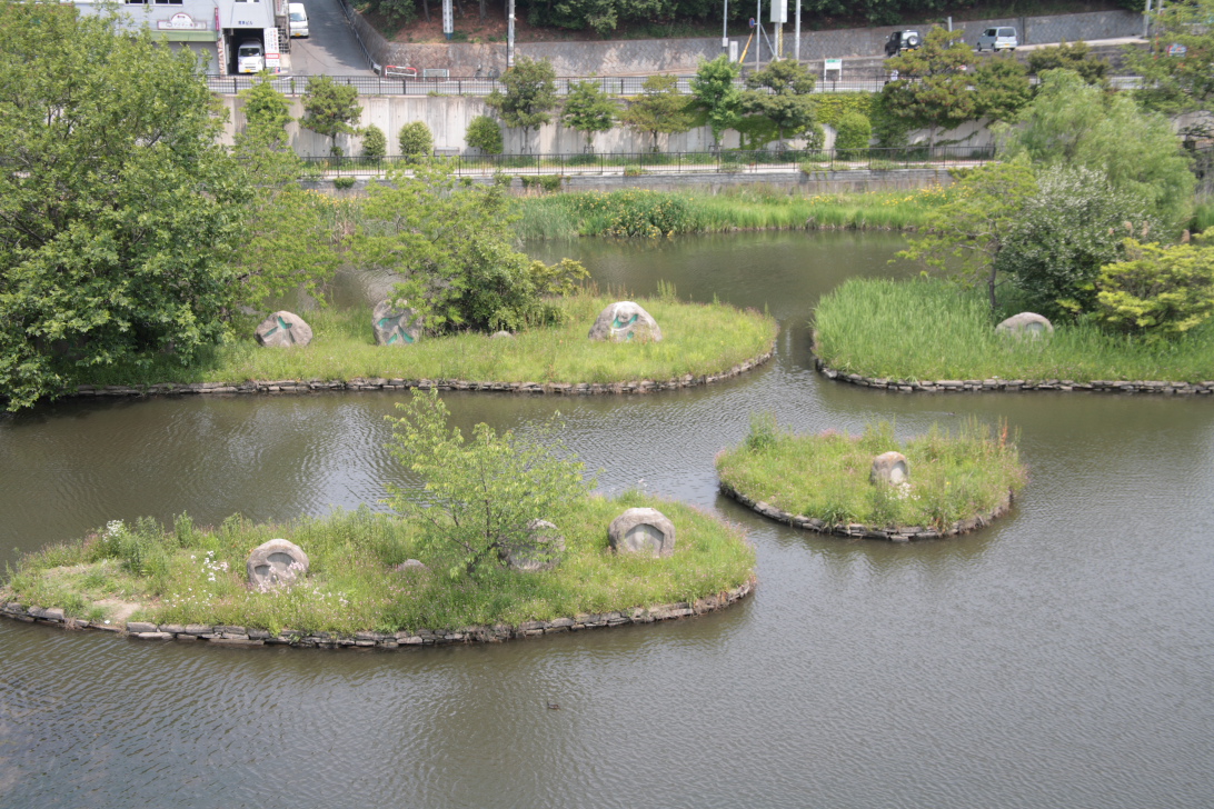 野間大池公園の写真