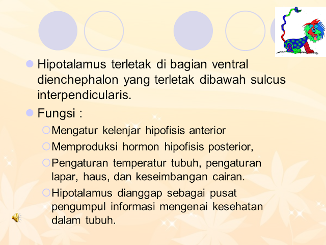 Hipothalamus