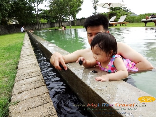 Temple Tree Swimming pool