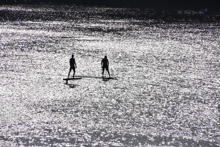 Life On The Intracoastal, Florida - Ms. Toody Goo Shoes