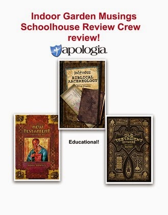 iWitness Books-001