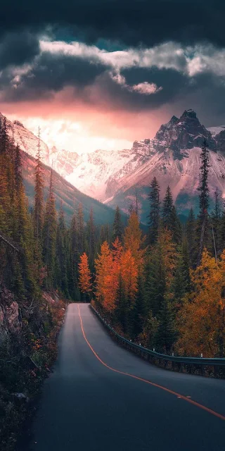 Mountain Road in Forest at Sunset Wallpaper for iPhone
