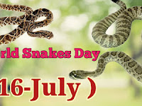World Snake Day - 16 July.