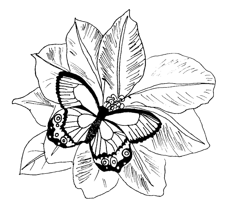 flower coloring pages