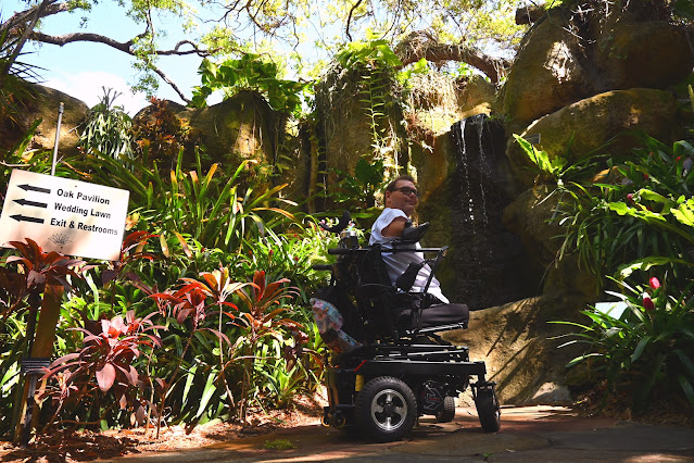 Kyle is in his black, power wheelchair. He's facing a waterfall in front of him, but is looking to his right, passed the camera. The waterfall is made of fake rocks. Surrounding it are a variety of ferns, most of which are green, though a few are red. There's a sign at the left side of the picture. On the sign are three arrows, all of which are pointing left, and arranged in a row. To the right of each arrow are the names of destinations in the park. Next to the first arrow are the words "Oak Pavilion." Next to the second arrow is "Wedding Lawn." Next to the bottom arrow is "Exit & Restrooms."
