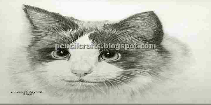 How to Make Cartoon Cat Color Pencil Drawings,Sketches