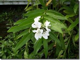 clip_image138