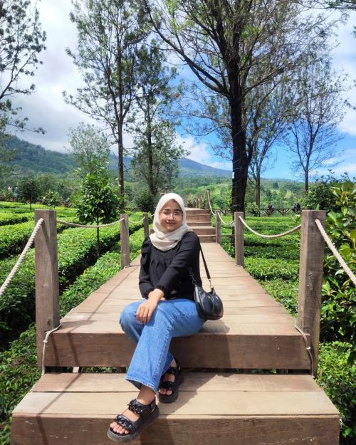 tea bridge gunung mas