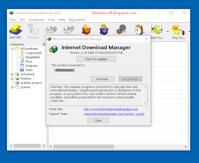 Internet Download Manager versi 6.25 build 10 Full Version