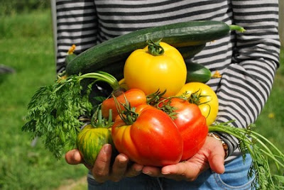 handful of vegetables