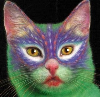 Painted_Cats