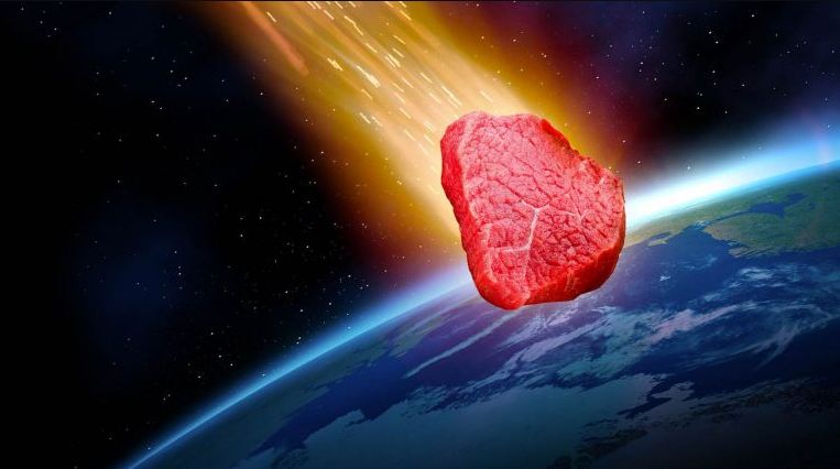 WHAT WOULD HAPPEN IF YOU DROPPED A STEAK FROM ORBIT?